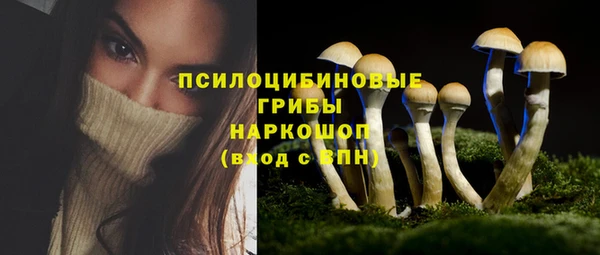 мдма Богородицк