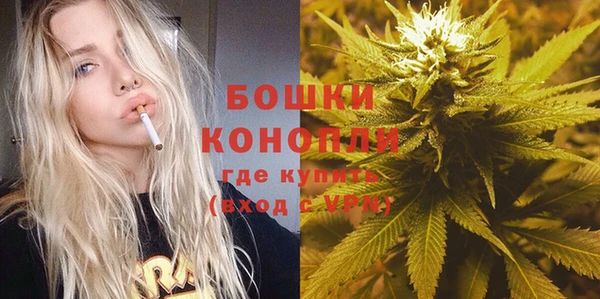 мдпв Богданович