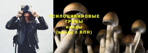 мдпв Богданович
