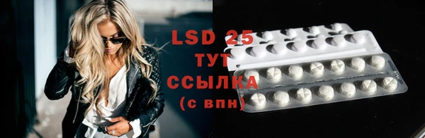 мдпв Богданович