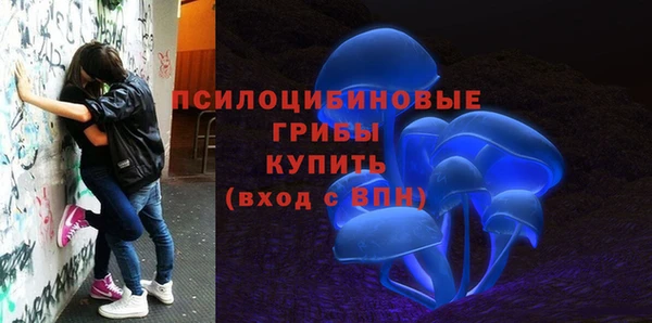 мдпв Богданович