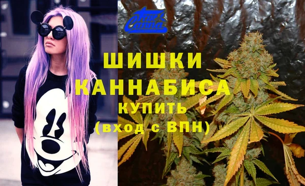 мдма Богородицк