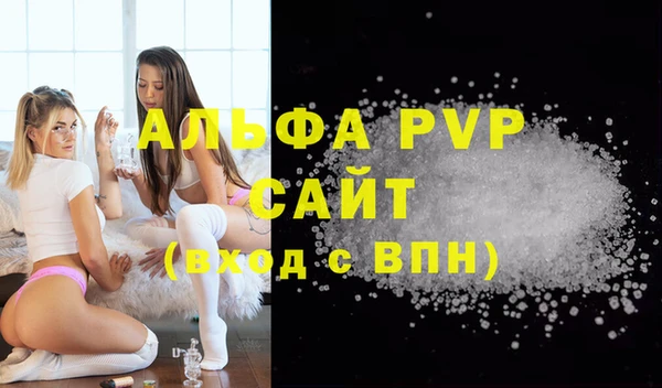 мдпв Богданович