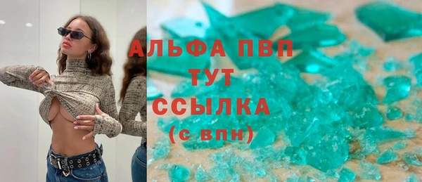 мдпв Богданович