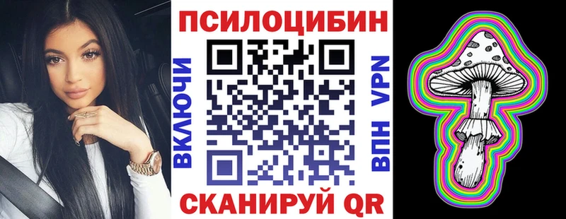 мега ONION  Навашино  Галлюциногенные грибы Cubensis 